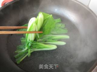 鸡脯扒小白菜的做法步骤：4