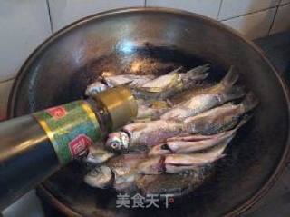 砂锅鲫鱼煲的做法步骤：4
