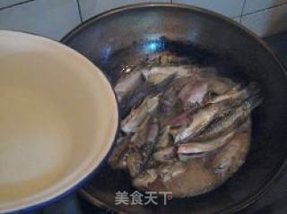 砂锅鲫鱼煲的做法步骤：5