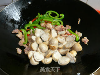 草菇炒肉的做法步骤：4