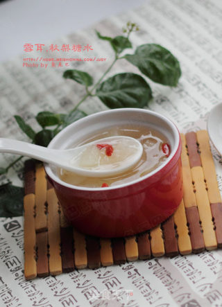 雪耳秋梨糖水的做法步骤：12