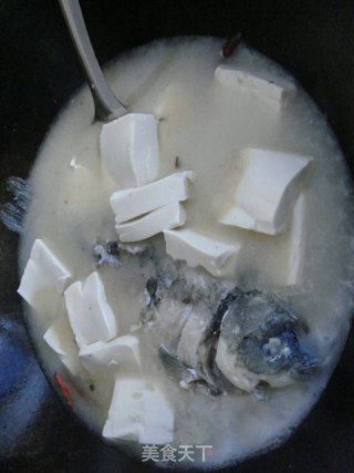 鲫鱼豆腐汤的做法步骤：7