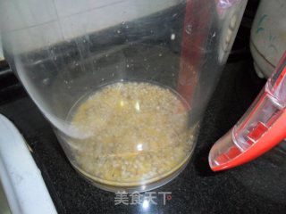 黄芪胡萝卜薏米米糊的做法步骤：4