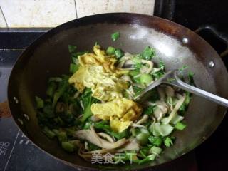 平菇炒蛋的做法步骤：11