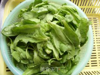 蓬哈菜煎豆腐的做法步骤：3