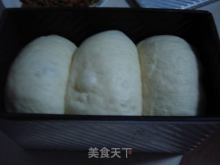 奶糖吐司的做法步骤：8