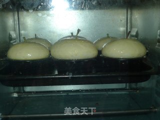 松软可口的----奶香苹果面包的做法步骤：11