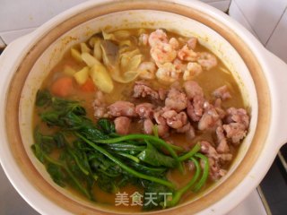 风情咖喱鸡肉火锅的做法步骤：17