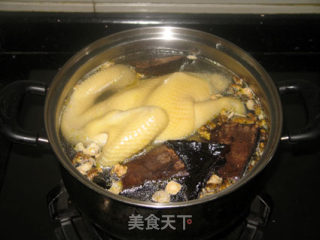 石斛灵芝炖鸡汤的做法步骤：4