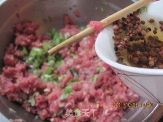 羊肉胡萝卜饺子的做法步骤：5