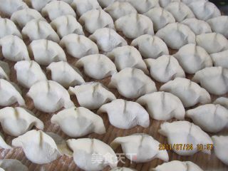 羊肉胡萝卜饺子的做法步骤：11