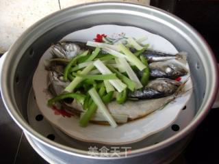 蒸蚝香青占鱼的做法步骤：8