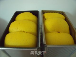 做个营养滋补的养生面包---枸杞吐司的做法步骤：9