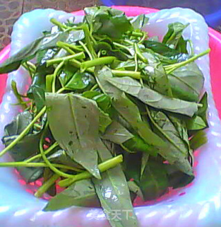 蒜香空心菜的做法步骤：5