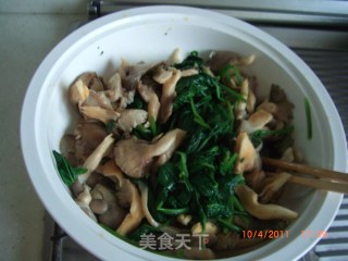 菠菜拌平菇的做法步骤：5
