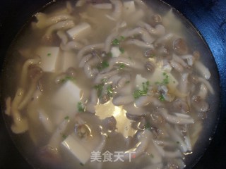 白玉菌菇蛤蜊汤的做法步骤：4