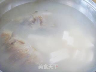 【养生汤煲】奶白浓汤---鲫鱼豆腐汤的做法步骤：12