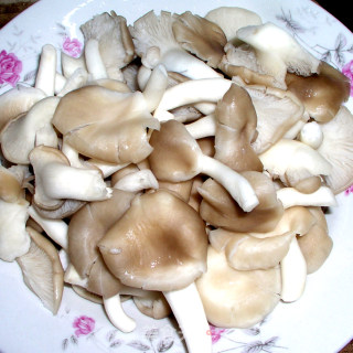 “蘑”力“食”足——蚝油双菇豆腐的做法步骤：1