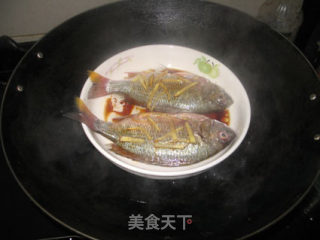 清蒸黄鳍鲷鱼（懒人版）的做法步骤：3