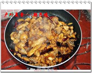 户外美食4---辣子鸡的做法步骤：5