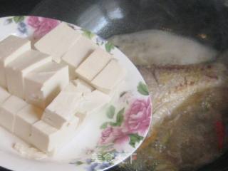 白鱼烧豆腐的做法步骤：6