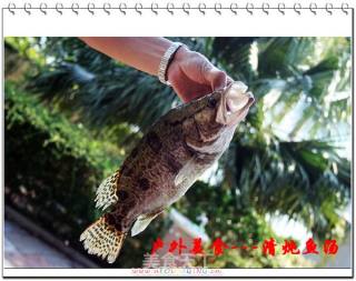 户外美食6---清炖鱼汤的做法步骤：2