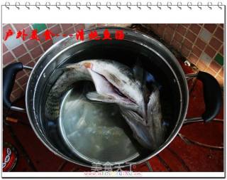 户外美食6---清炖鱼汤的做法步骤：4
