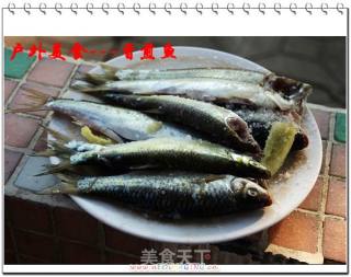 户外美食8---香煎鱼的做法步骤：2