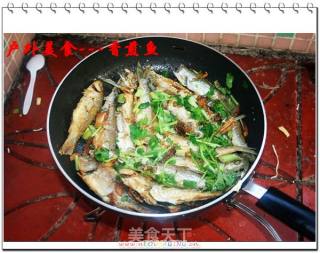 户外美食8---香煎鱼的做法步骤：8