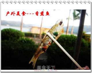 户外美食8---香煎鱼的做法步骤：9