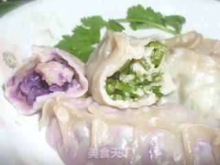 紫包菜肉馅饺子+韭菜花肉馅饺子的做法步骤：12