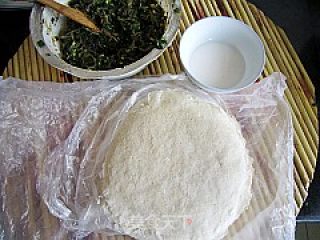 馋嘴小吃---韭菜春卷的做法步骤：6