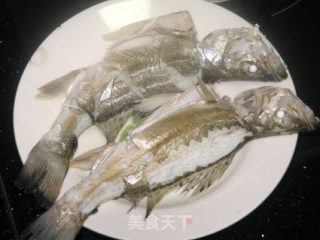 清水浸海鲈鱼的做法步骤：4