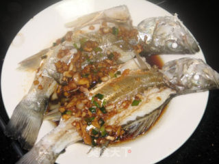 清水浸海鲈鱼的做法步骤：6