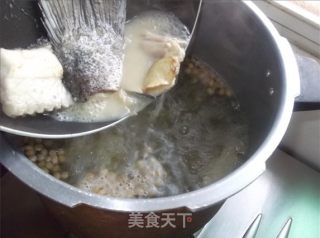鱼骨牛奶   黄绿豆煲鱼骨汤的做法步骤：9