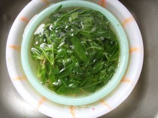 菠菜粉丝的做法步骤：5