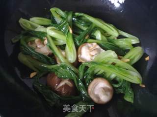 香菇油菜的做法步骤：6