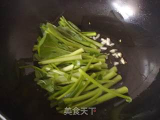 清炒菜心的做法步骤：4