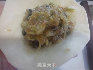 猪肉白菜包子的做法步骤：13