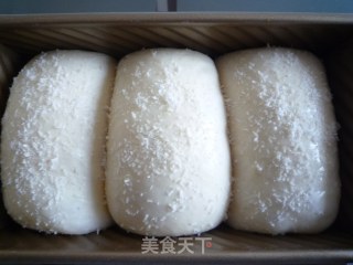 椰香白吐司的做法步骤：8