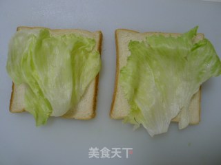 自制三文治的做法步骤：8