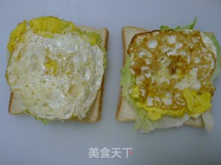 自制三文治的做法步骤：9