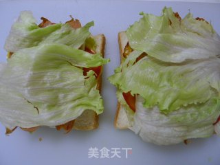 自制三文治的做法步骤：13