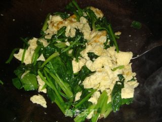 菠菜炒鸡蛋的做法步骤：5