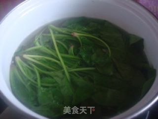 大力水手的大爱——菠菜拌粉丝的做法步骤：3