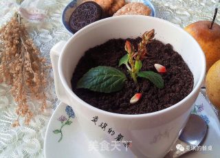 盆栽酸奶的做法