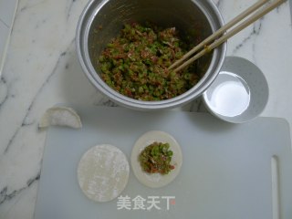 扁豆馅水饺的做法步骤：8