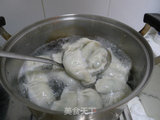 扁豆馅水饺的做法步骤：11
