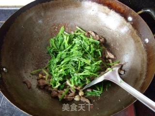 补血佳菜-------------------菠菜炒猪肝的做法步骤：8