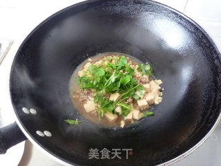 香菜肉末豆腐的做法步骤：11